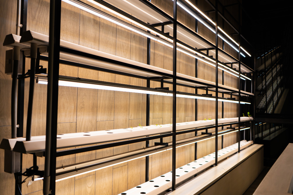 İstanbul İkinci El Raf Sistemleri